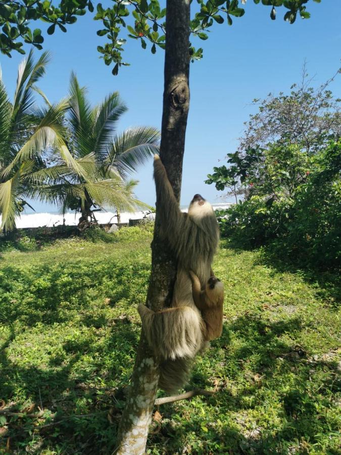 Ocean View Lodge Cahuita Exterior photo